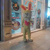 عروسک گردانی برای مراسمات و مغازه ها