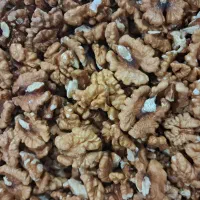 مغز گردو