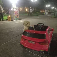 قیمت.خوب گذاشتم.