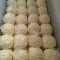 کره حیوانی ودوغی