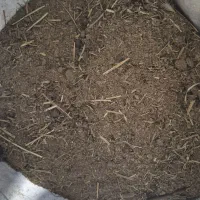 کود گوسفندی|خدمات باغبانی و درختکاری|هشتگرد, سعید آباد|دیوار