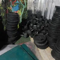 دمبل وهالتر یکجا