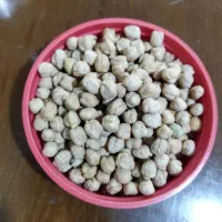 نخود دیمی امساله|خوردنی و آشامیدنی|محمدشهر, شهرک پیام (مهرالبرز)|دیوار