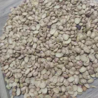 لوبیای دولپه اشی|خوردنی و آشامیدنی|شیراز, گلشن|دیوار