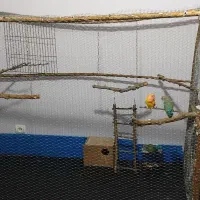 معاوضه یا فروش