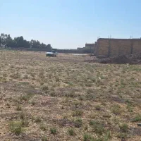 زمین خاتونک با شرایط استثنایی مستقیم از مالک فوری|فروش زمین و ملک کلنگی|شیراز, کرونی(خاتونک)|دیوار