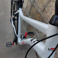 دوچرخه برقی ویوا سایز ۲۹ تایوانی درحد آکبند|دوچرخه، اسکیت، اسکوتر|تهران, تهرانسر شمالی|دیوار