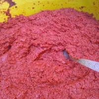رب خانگی