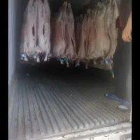 گوشت ارزن شد