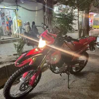 تریل باسل
