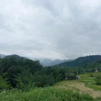 ۳۰۰ مترزمین در روستای کلوان، شهرستان شفت.گیلان