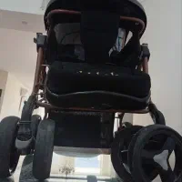 کالسکه دلیجان|کالسکه و لوازم جانبی|تهران, امام حسین|دیوار