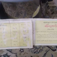 پلوپز برقی اتوماتیک از ۱ نفرتا۱۲ نفر درحدنو|اجاق گاز و لوازم برقی پخت‌وپز|بومهن, |دیوار
