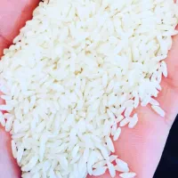 برنج درجه یک فلارد به شرط