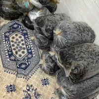 خرما خنزی درجه یک