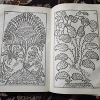 تعدادی کتاب قدیمی و کلکسیونی با قیمت پایین|کلکسیون اشیاء عتیقه|تهران, بوستان ولایت|دیوار