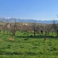 باغ-5300-متری-در-اهر
