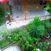 کلبه تک خواب جنگلی سنتی فومن|اجارهٔ کوتاهمدت ویلا و باغ|فومن, |دیوار