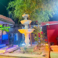 نیروی کار آقا یا خانم