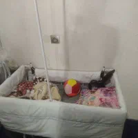 تخت کنار مادر گهواره شو