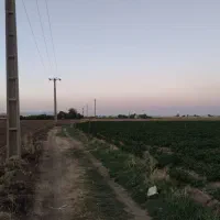 زمین کشاورزی و باغی به متراژ ده هزار و سیصد متر|فروش دفتر صنعتی، کشاورزی، تجاری|همدان, |دیوار