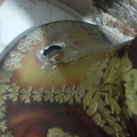 گلدان سفالی کنار سالنی|صنایع دستی و سایر لوازم تزئینی|ری, دولتآباد|دیوار