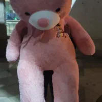 خرس دو متری