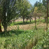 نظافتچی ابدارچی
