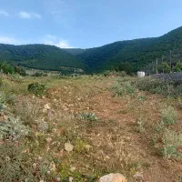 شمال جاده چالوس ییلاق نوشهر کندلوس زمین ۴۰۵ متر