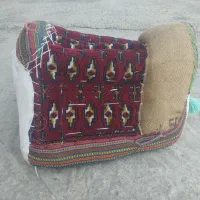 پالون اسب|اسب و تجهیزات اسبسواری|تولم شهر, |دیوار