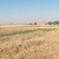 فروش زمین جهت سرمایه گذاری و ساخت