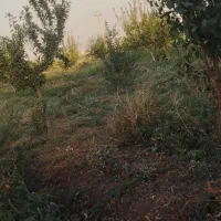 انجام خدمات کشاورزی