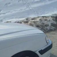 راننده دهدشت بوشهر