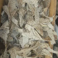 نان خشک 2گونی