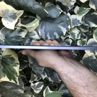 pad 6 لاکاغذی|تبلت|آمل, |دیوار