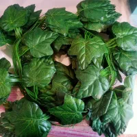 ریسه برگ ۱۲ عددی|گل مصنوعی|تهران, خاک سفید|دیوار