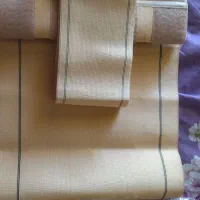 گن لاغری