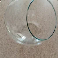 گلدان تراریوم