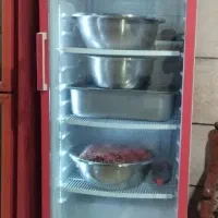 یخجال ایساده