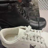 کفش|کیف، کفش، کمربند|سنندج, |دیوار