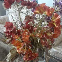 گل وگلدان اکلینی