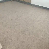 موکت|موکت|دوگنبدان, |دیوار