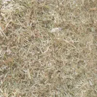 کاه گندم و لوبیا بدون علف تمیز و نرم
