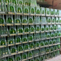فروش عمده نوشیدنی