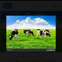 زمین همراه دامداری