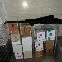 قفس و لانه دست دوم|لوازم جانبی حیوانات|بیرجند, |دیوار