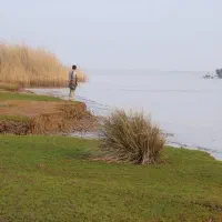 زمین-اروند-کنار