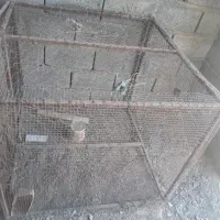 قفس بزرگ|لوازم جانبی حیوانات|میناب, |دیوار