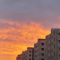 نیرو کار هستم
