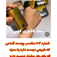 پنکک کوین فرانسه